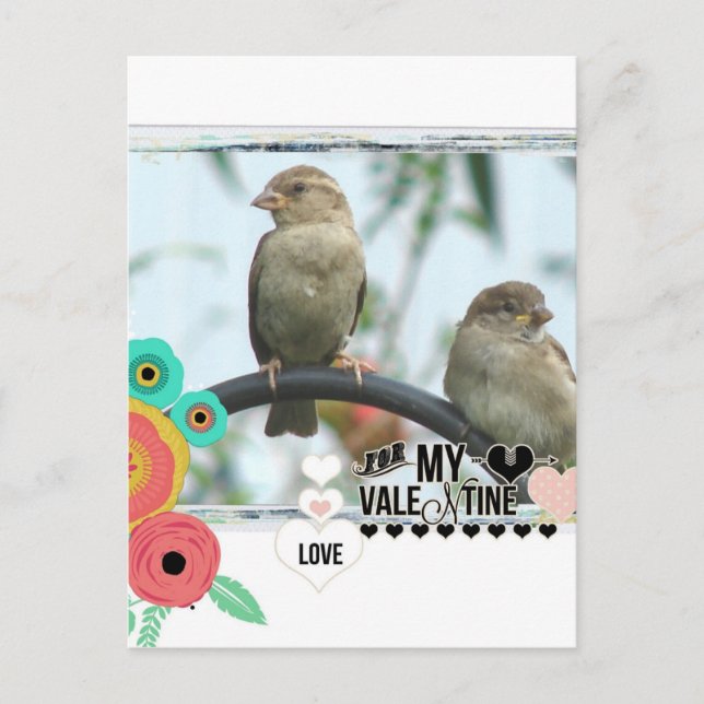 Sparrow Valentine Holiday Postcard (Front)
