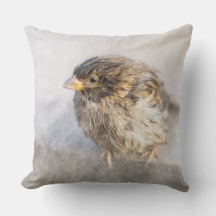 Sparrow - Weather Forecast Epic Fail Cushion