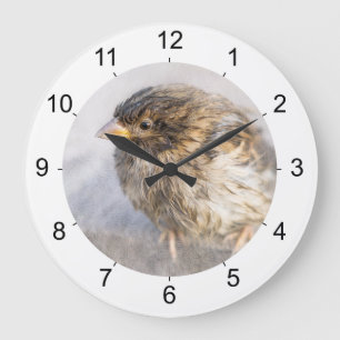 Sparrow - Weather Forecast Epic Fail Large Clock