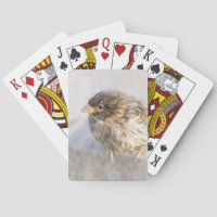 Sparrow - Weather Forecast Epic Fail