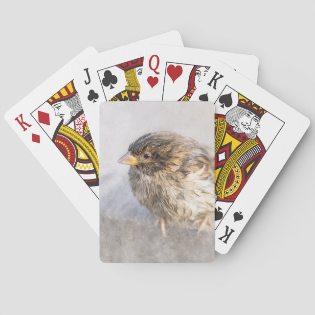 Sparrow - Weather Forecast Epic Fail Playing Cards (Back)