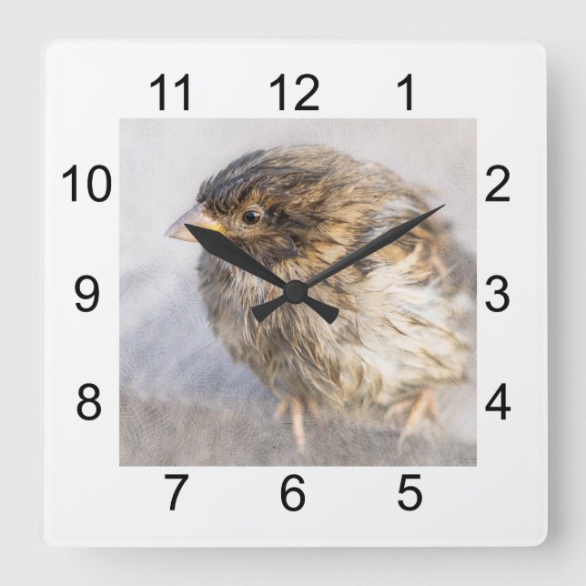 Sparrow - Weather Forecast Epic Fail Square Wall Clock (Front)