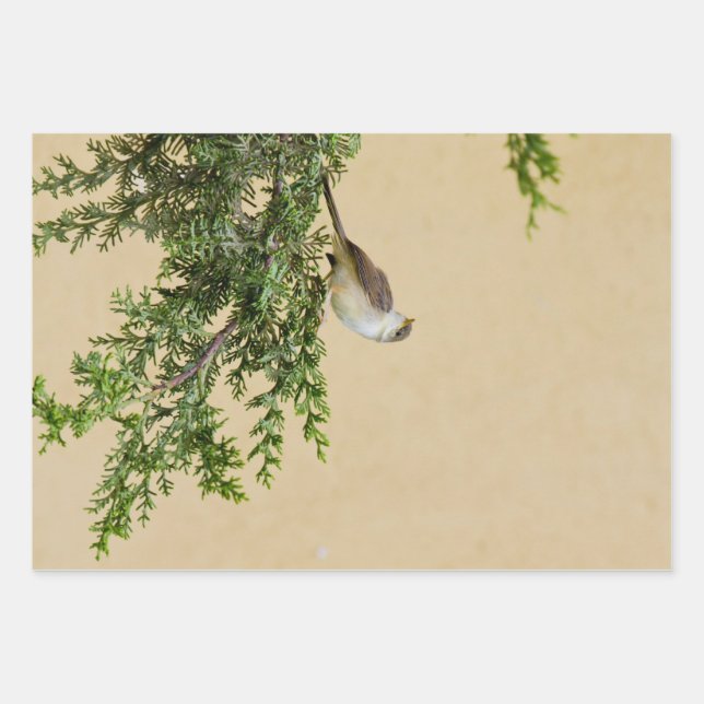 Sparrow  wrapping paper sheet (Front)