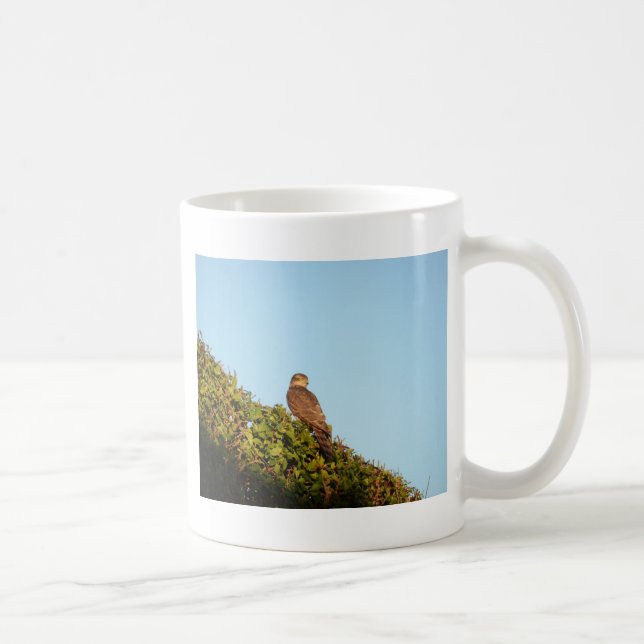 Sparrowhawk Coffee Mug (Right)