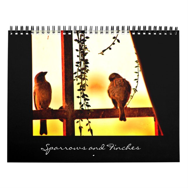 Sparrows and Finches Calendar (Cover)