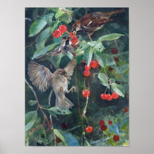 Sparrows in a Cherry Tree, Bruno Liljefors Poster