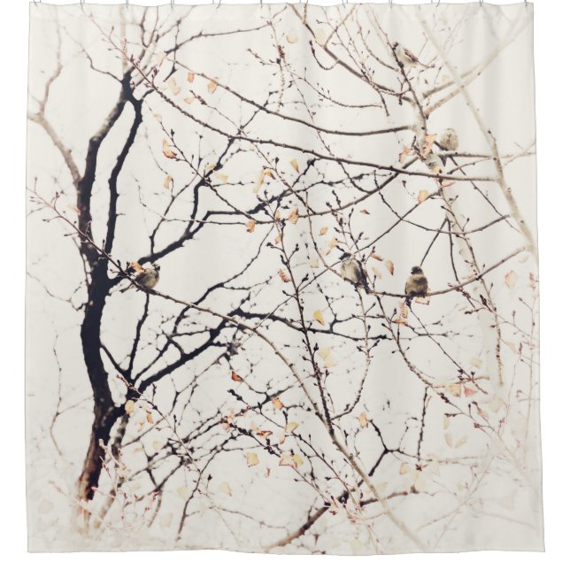 Sparrows in Tree Neutral Nature and Birds Shower Curtain (Front)