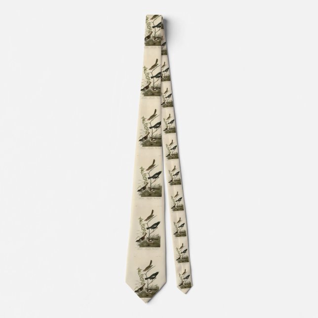 Sparrows, Lark Bunting, Audubon's Birds of America Tie (Front)