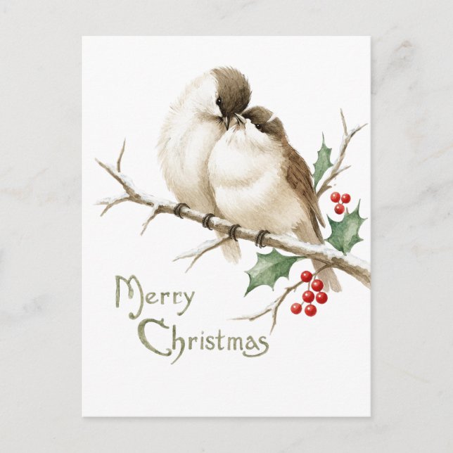 Sparrows on a Christmas Branch Postcard (Front)