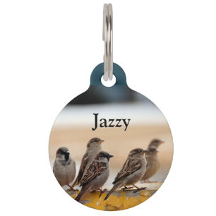 Sparrows Pet Tag
