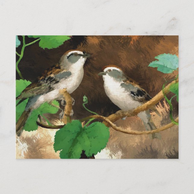 Sparrows Postcard (Front)