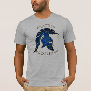 Spartan Battle Trojan Greek Warrior Blue Gold T-Shirt