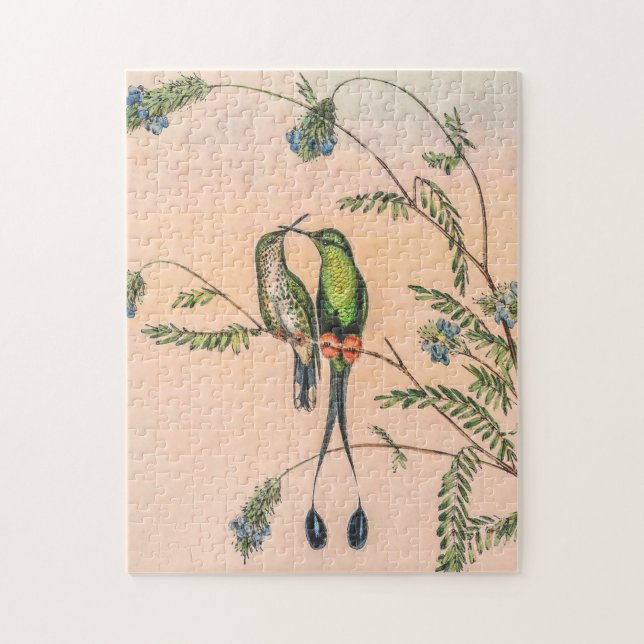 Spathura Peruana Hummingbirds by John Gould Jigsaw Puzzle (Vertical)