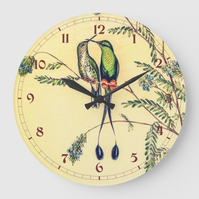 Spathura peruana (Peruvian Racket-Tail) Birds Large Clock (Front)