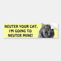 Spay and Neuter your cat. Shocked Kitty