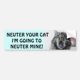 Spay and Neuter your cat. Shocked Kitty Bumper Sticker