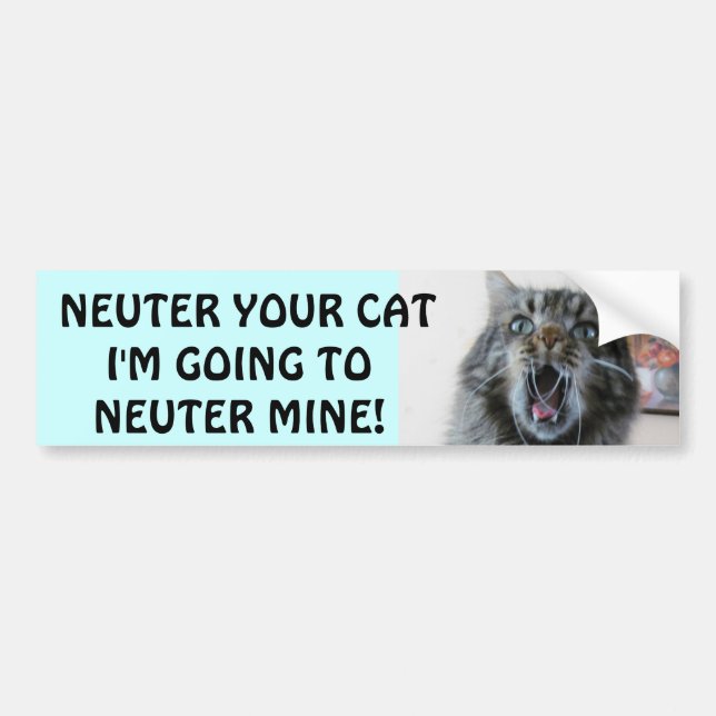 Spay and Neuter your cat. Shocked Kitty Bumper Sticker (Front)