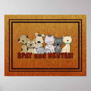Spay and Neuter Your Pets Poster