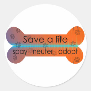 spay neauter adopt classic round sticker