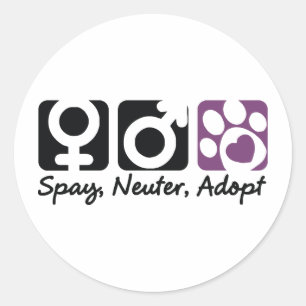 Spay, Neuter, Adopt Classic Round Sticker