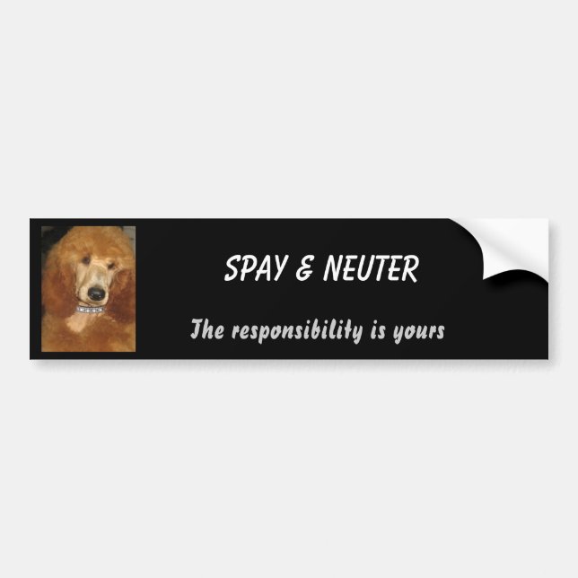 Spay & Neuter bumper sticker (Front)