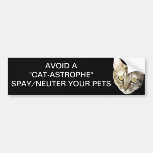 Spay/Neuter Bumper Sticker