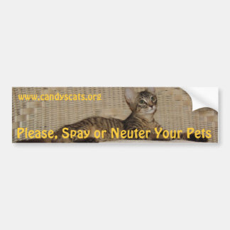 Spay or Neuter Your Pets Bumper Sticker