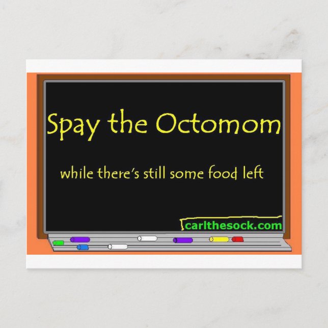 Spay the octomom postcard (Front)