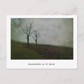 Speak no bitter words - postcard