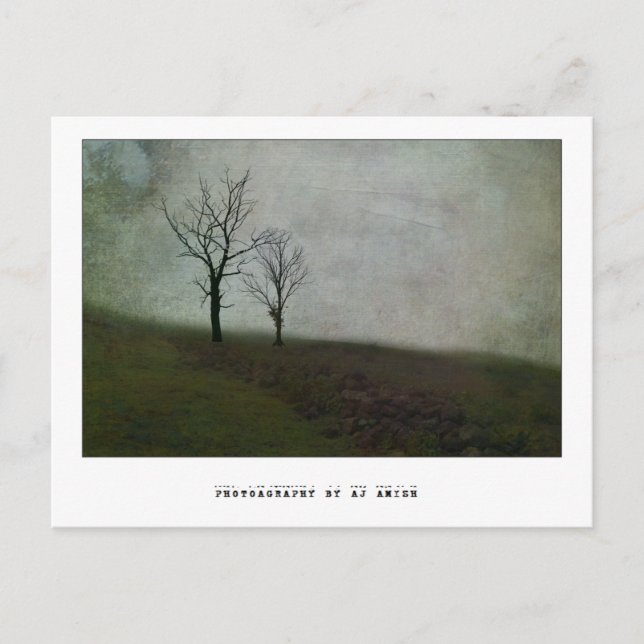 Speak no bitter words - postcard (Front)