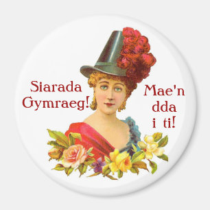 Speak Welsh! magnet