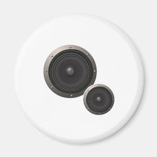 Speaker Cone Magnet