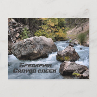 Spearfish Canyon Creek Postcard