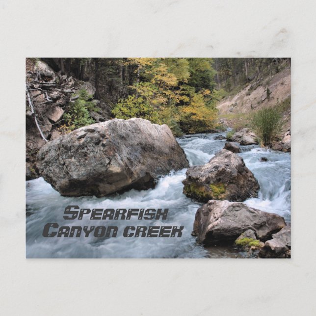 Spearfish Canyon Creek Postcard (Front)