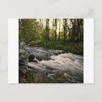 spearfish creek SD Postcard