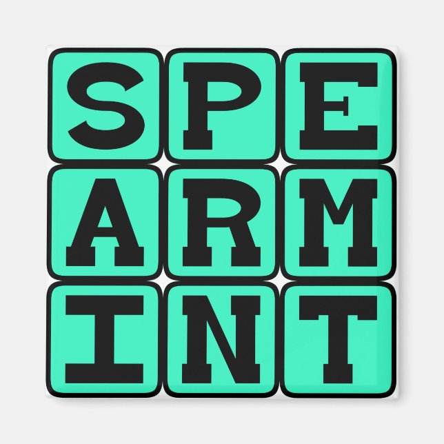 Spearmint, Gum Flavour Magnet (Front)
