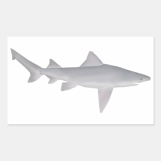 Speartooth Shark Rectangular Sticker (Front)