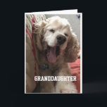 **SPECIAL BIRTHDAY** for "GRANDDAUGHTER" Card<br><div class="desc">GREAT CARD FOR THAT SPECIAL ***GRANDDAUGHTER***</div>