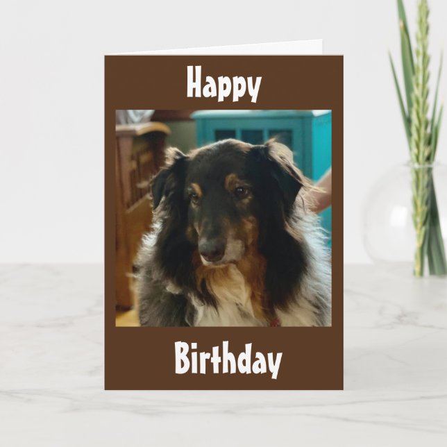 SPECIAL BIRTHDAY WISHES FROM A SPECIAL PUPPY CARD (Front)
