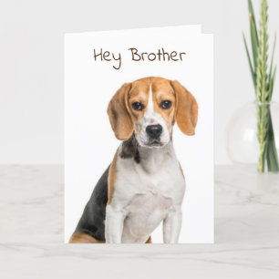 SPECIAL CARD FOR SPECIAL BROTHER'S BIRTHDAY