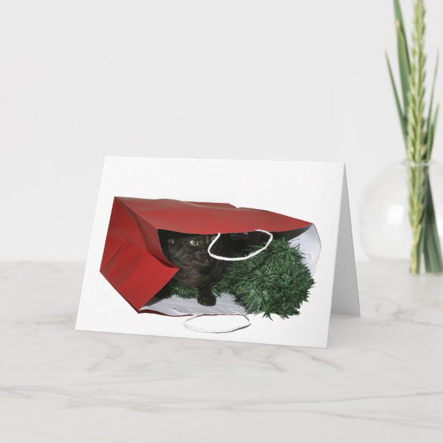 Special Christmas gift Holiday Card (Front)