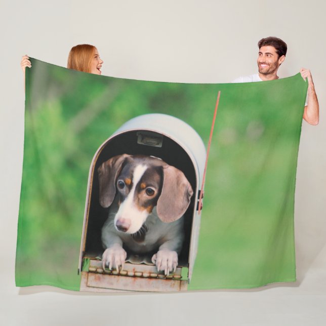 SPECIAL DELIVERY FLEECE BLANKET (In Situ)