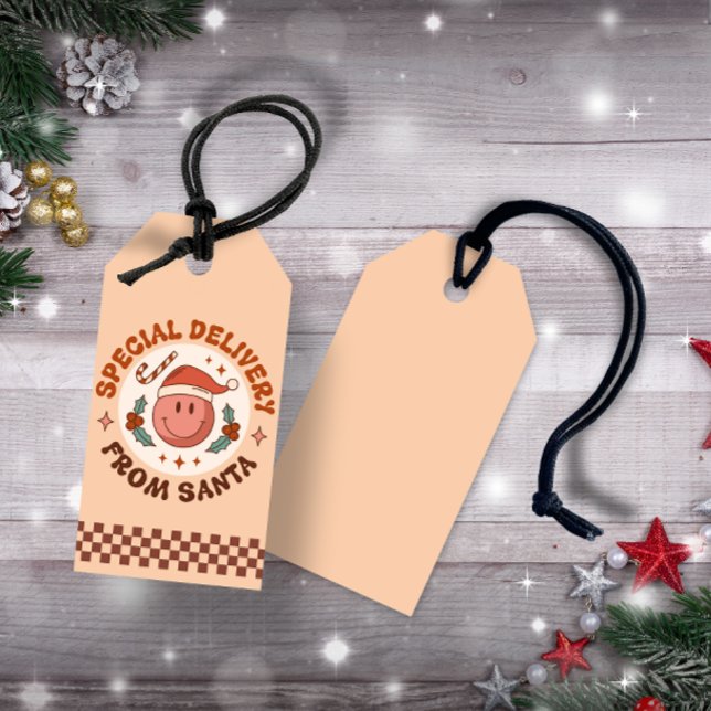 Special Delivery from Santa Gift Tags (Special Delivery from Santa Gift Tags)
