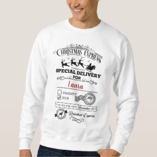 Special Delivery Nice LIst Christmas Hoodie