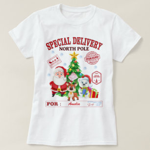 Special Delivery North Pole Santa Claus  T-Shirt