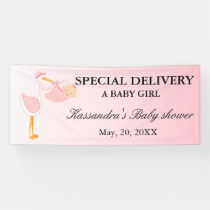 Special Delivery Stork Baby Girl Shower Banner