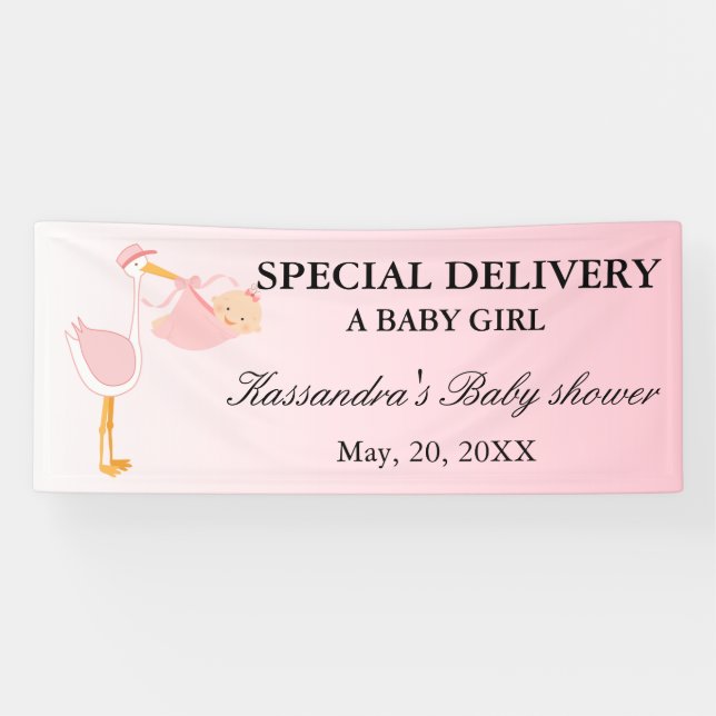 Special Delivery Stork Baby Girl Shower Banner (Horizontal)