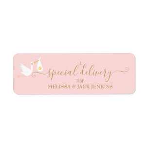 Special Delivery Stork Baby Pink Return Address