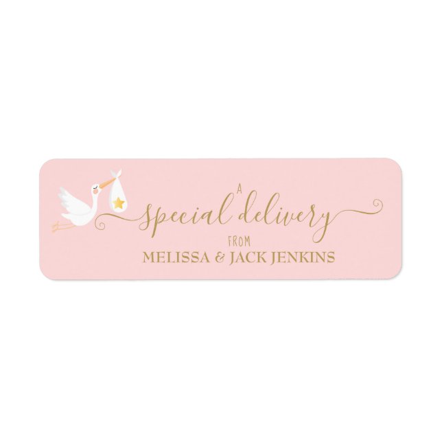 Special Delivery Stork Baby Pink Return Address (Front)