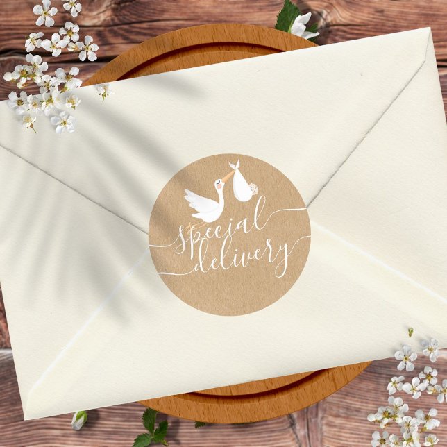 Special Delivery Stork Baby Shower Classic Round Sticker (Special Delivery Stork Baby Shower Classic Round Sticker)